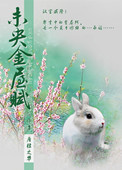 未央金茂府210平户型
